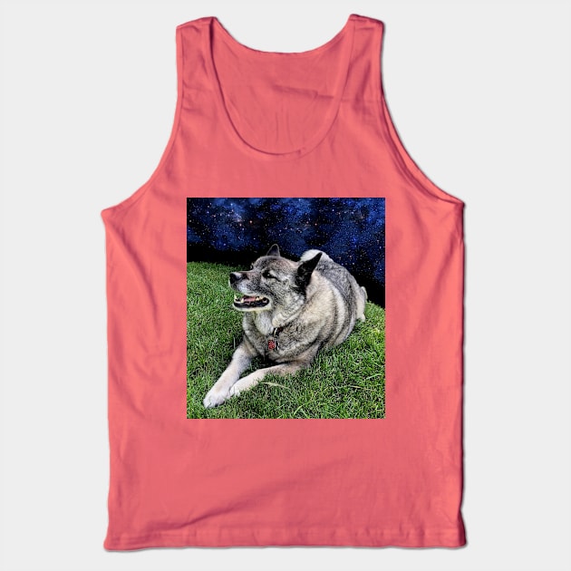 Elkhound at the Edge of the World Tank Top by Busybob